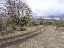  T019- 2 LOTES  600 m2 en KALEUCHE