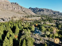 H025 - Exclusivas 8 Hectáreas con casa de 220 m2 - Potrero Alto   