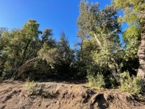 T137 Lote de 2000 m2 -  La Reserva Alta 