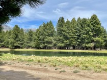 T199 - Excelente lote 2550 m2 en Chapelco Golf - Mza C