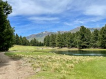 T200 - Excelente lote de 2680 m2 en Chapelco Golf - Mza C