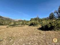 T223 -Excelente Lote  de 5000M2 en Valle Escondido Club de Campo