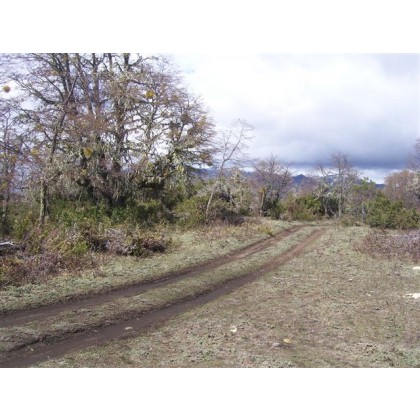  T019- 2 LOTES  600 m2 en KALEUCHE