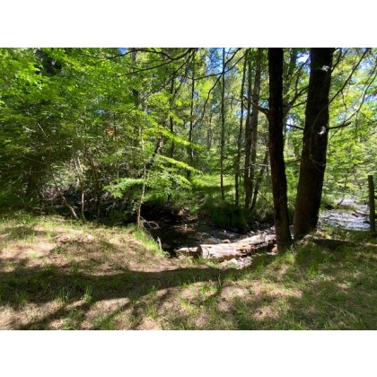 T194 - Lote de 1698m2 con costa de arroyo - Altos del Chapelco