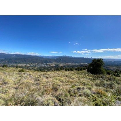 T179 - Excelente Lote de 3200 m2 en Miralejos