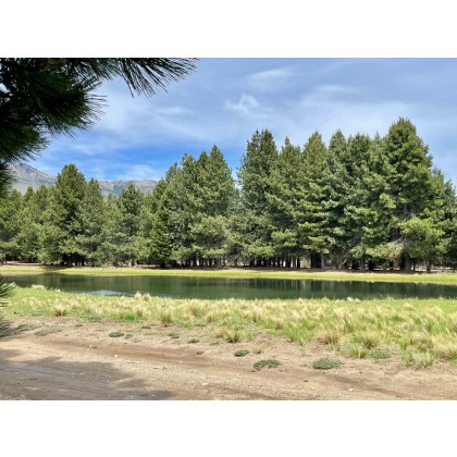 T199 - Excelente lote 2550 m2 en Chapelco Golf - Mza C