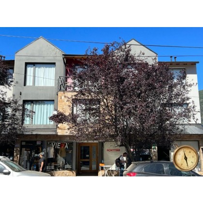 AL230 - Departamento de 1 dormitorio en planta baja - Curruhuinca al 700 - Centro