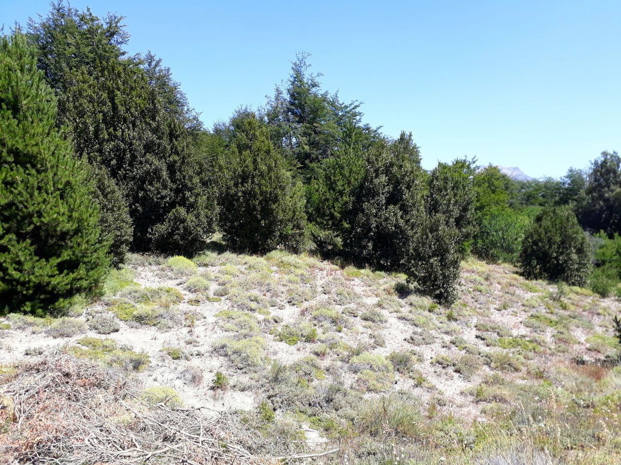 LM093 - Lote en Meliquina Mza J1 1380 m2 