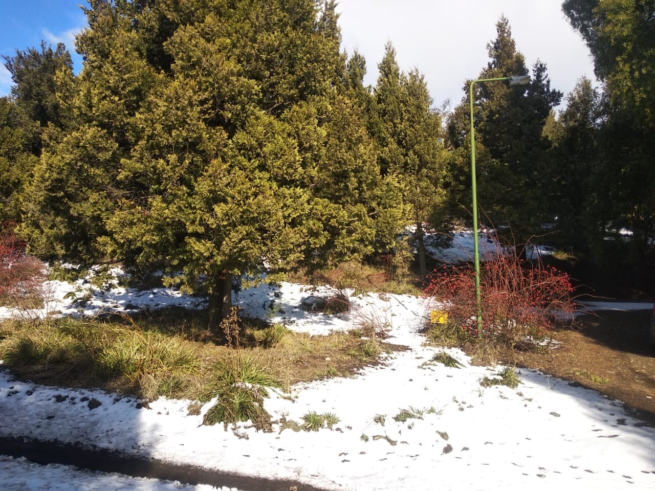 T168 - Lote en Los Riscos- 2500m2
