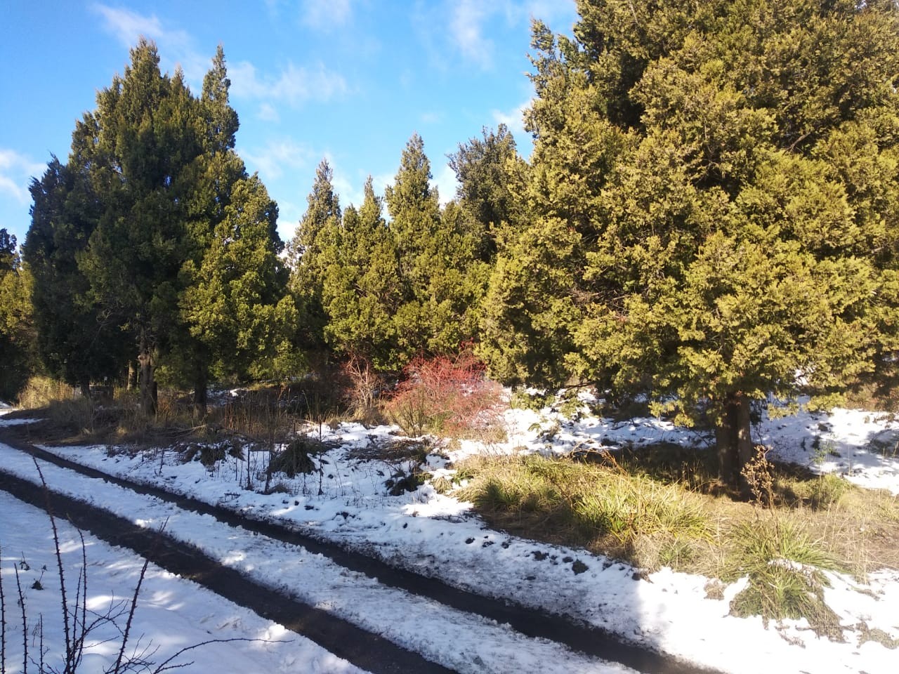 T168 - Lote en Los Riscos- 2500m2