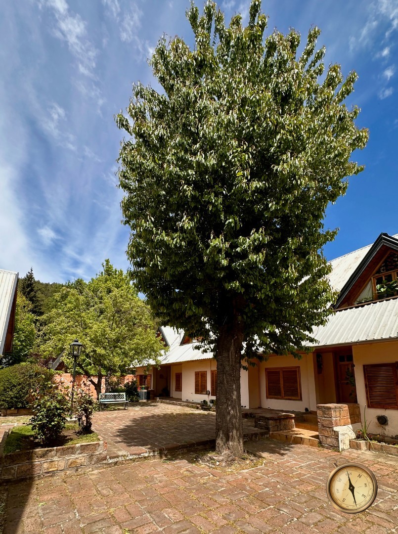 C272 - Casa de 3 dormitorios - 118 m2  en Lote de 500 m2  - Centro