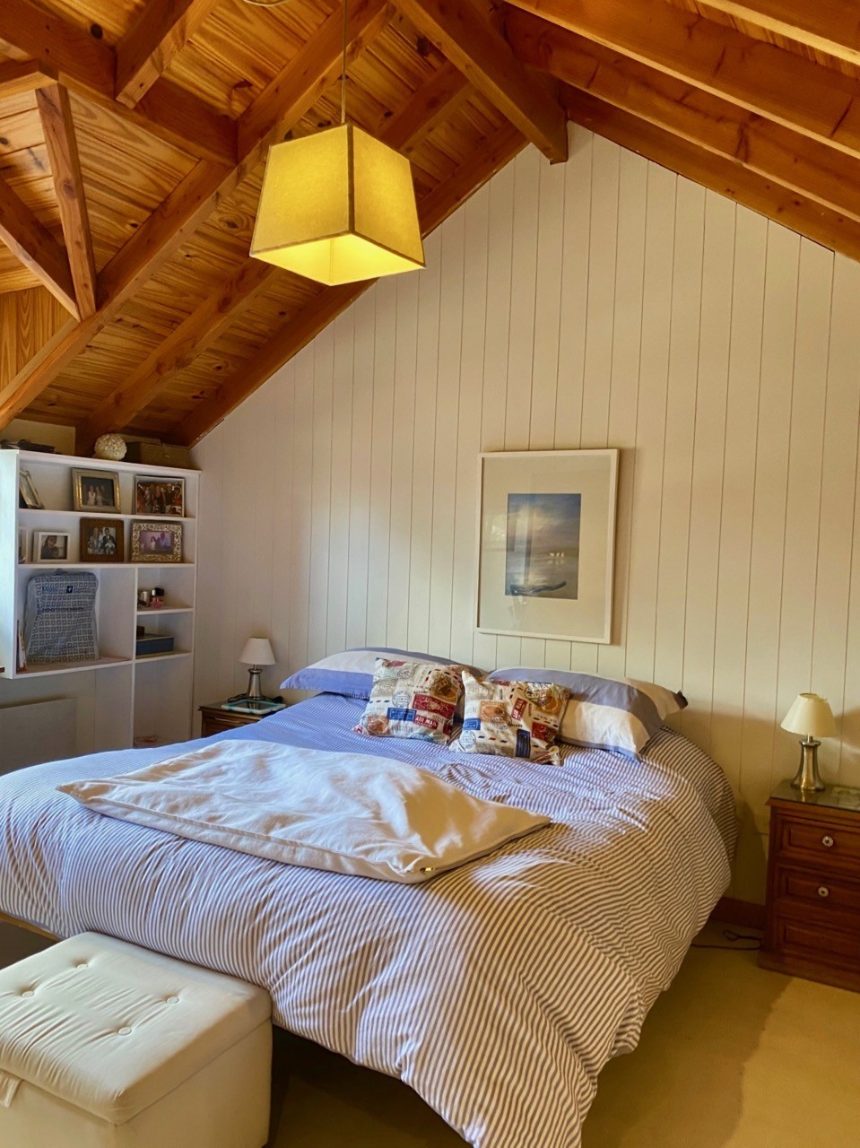 C166 - Casa de 4 dormitorios 260m2 en lote de 500m2 -  Alihuen Bajo 