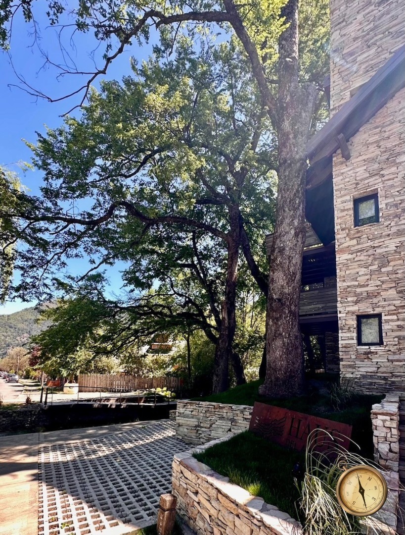 D258 - Departamento de 1 dormitorio con terraza - 75 m2 - Haus del Arroyo