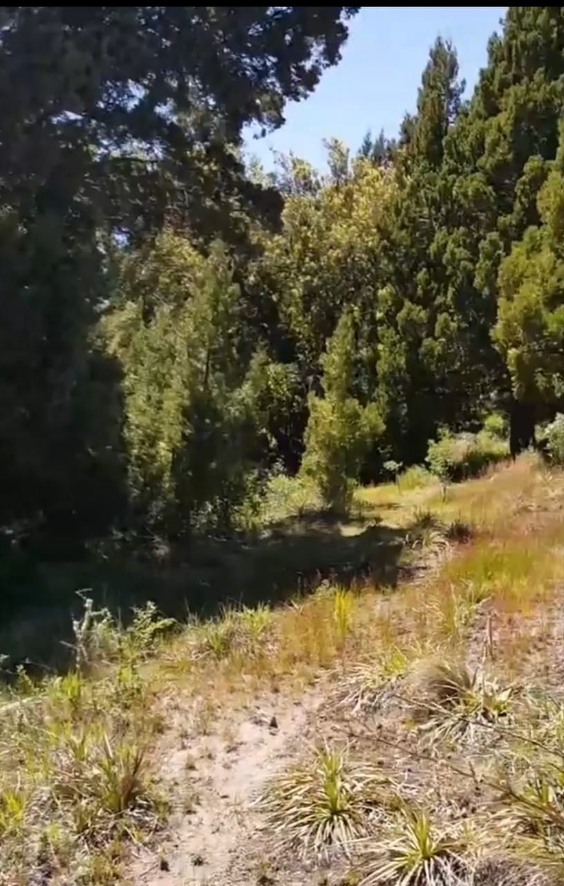 T168 - Lote en Los Riscos- 2500m2