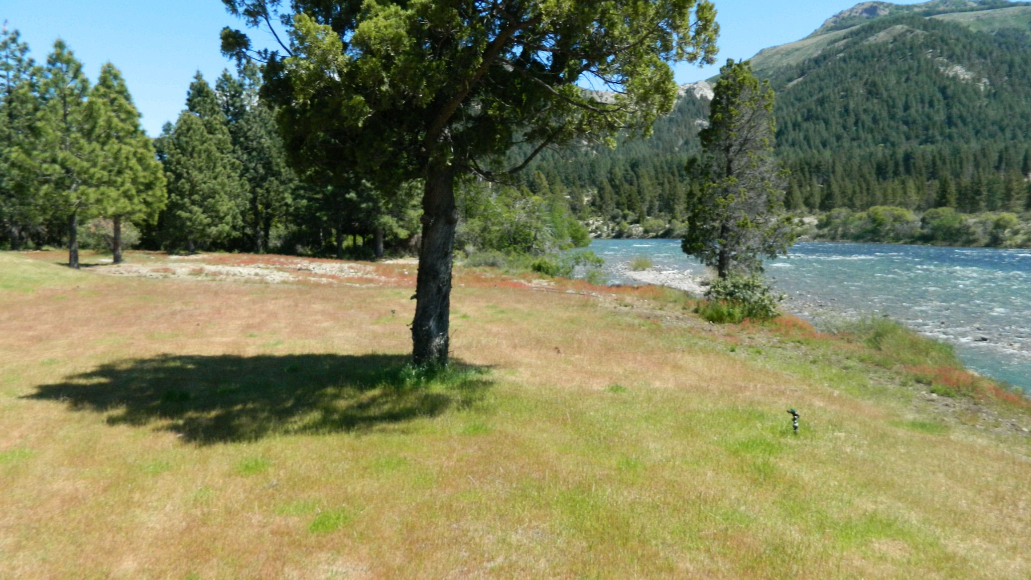 LM040- Excelentes lotes sobre costa de Río Caleufu en la Patagonia