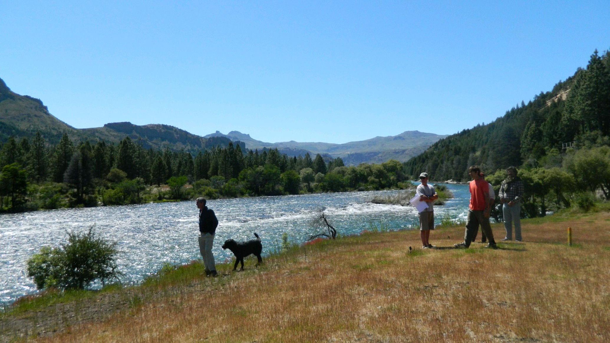 LM040- Excelentes lotes sobre costa de Río Caleufu en la Patagonia