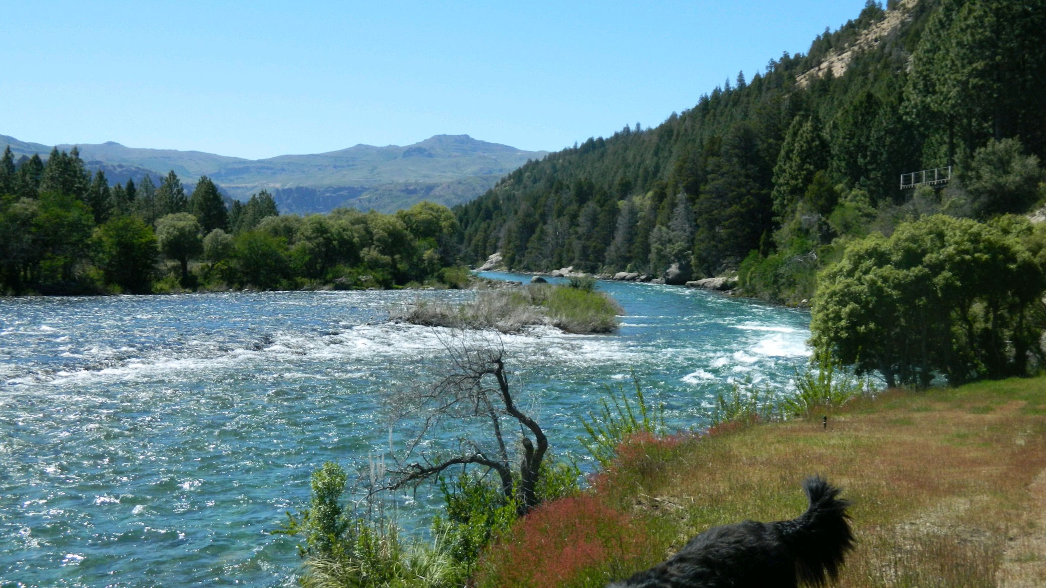 LM040- Excelentes lotes sobre costa de Río Caleufu en la Patagonia