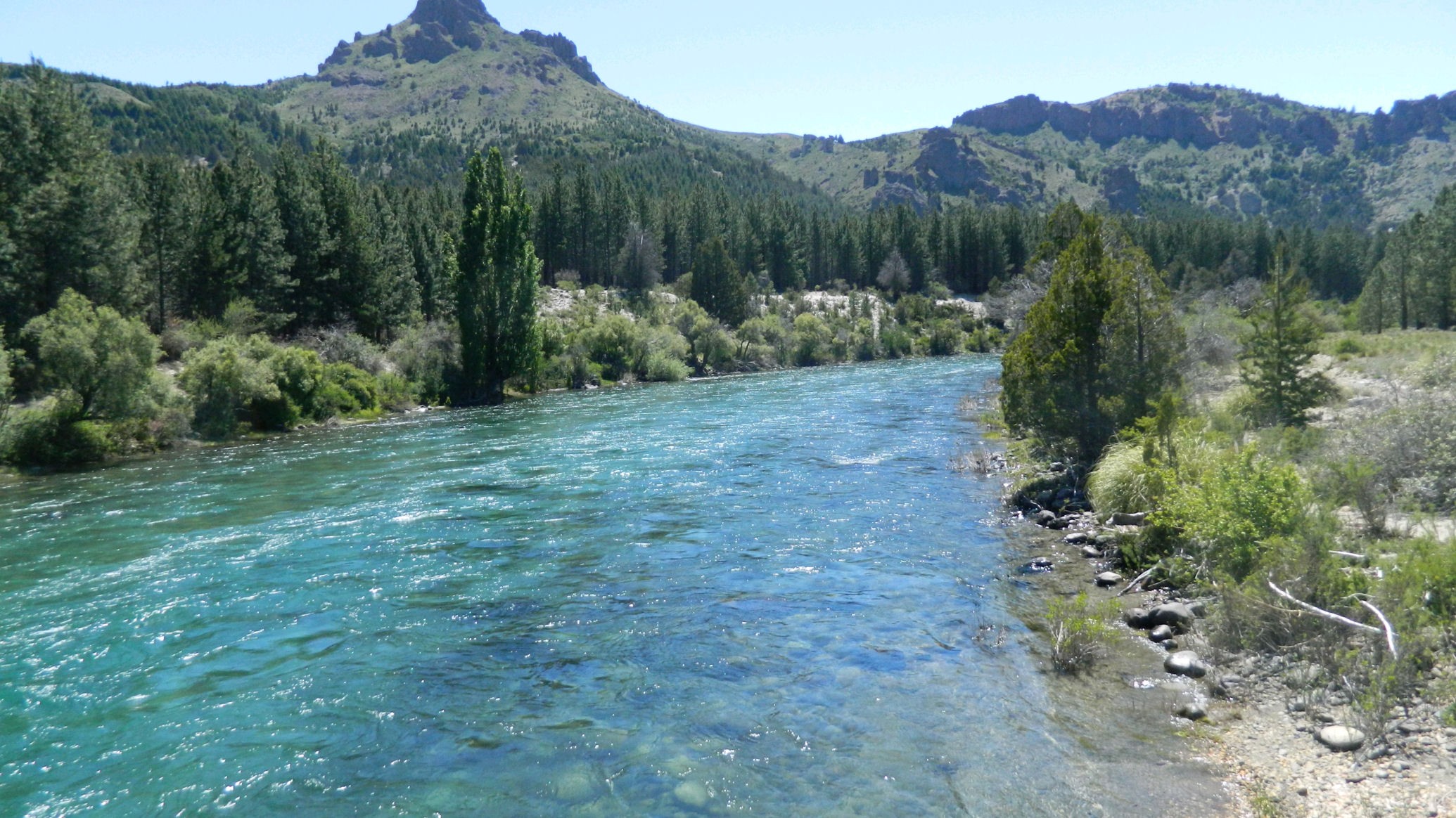 LM040- Excelentes lotes sobre costa de Río Caleufu en la Patagonia