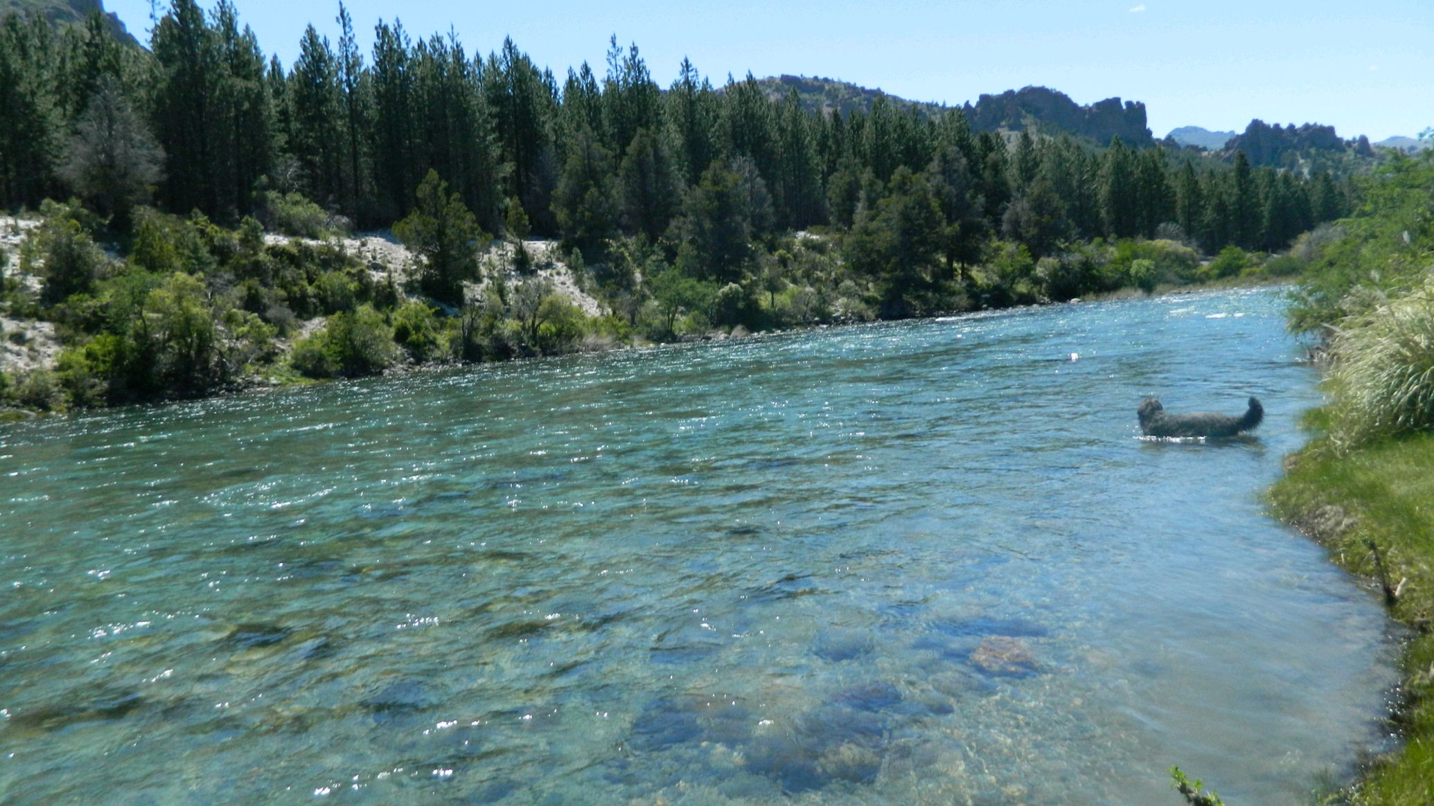 LM040- Excelentes lotes sobre costa de Río Caleufu en la Patagonia