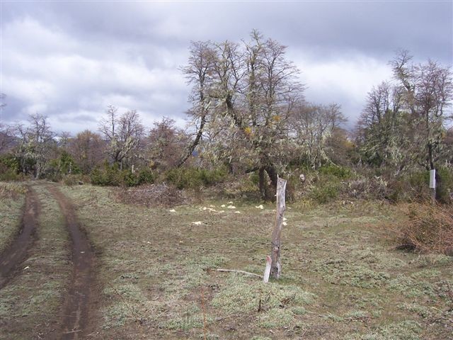  T019- 2 LOTES  600 m2 en KALEUCHE
