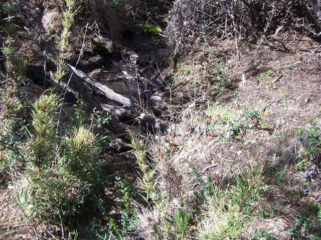  T019- 2 LOTES  600 m2 en KALEUCHE