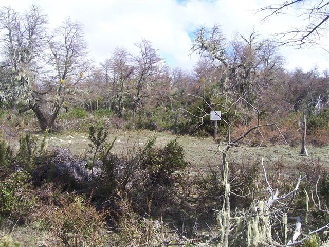  T019- 2 LOTES  600 m2 en KALEUCHE