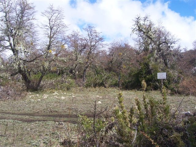  T019- 2 LOTES  600 m2 en KALEUCHE