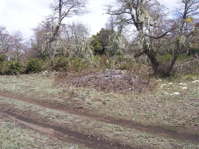  T019- 2 LOTES  600 m2 en KALEUCHE