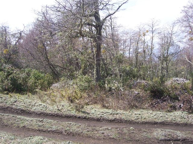  T019- 2 LOTES  600 m2 en KALEUCHE