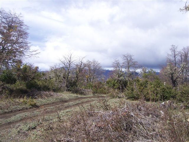  T019- 2 LOTES  600 m2 en KALEUCHE