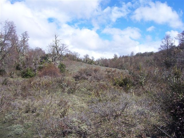  T019- 2 LOTES  600 m2 en KALEUCHE