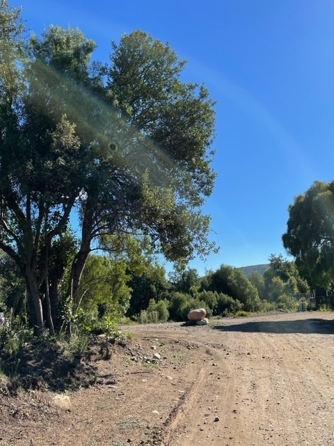 T137 Lote de 2000 m2 -  La Reserva Alta 