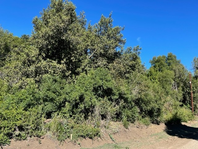T137 Lote de 2000 m2 -  La Reserva Alta 