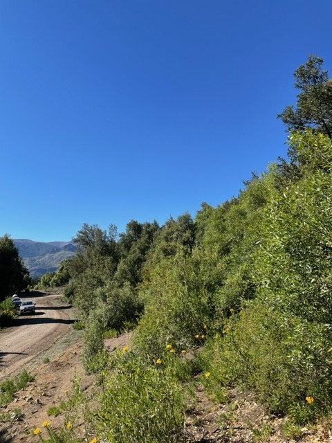 T137 Lote de 2000 m2 -  La Reserva Alta 