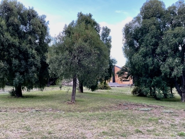 T158- Muy lindo lote plano en  Peñon de Lolog- 