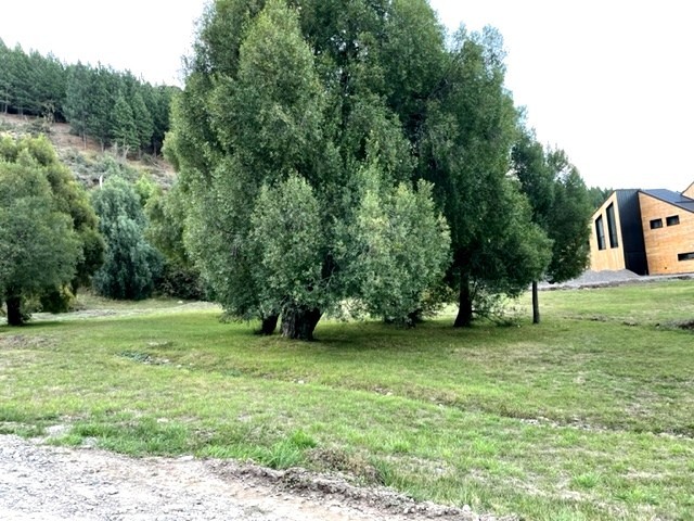 T158- Muy lindo lote plano en  Peñon de Lolog- 