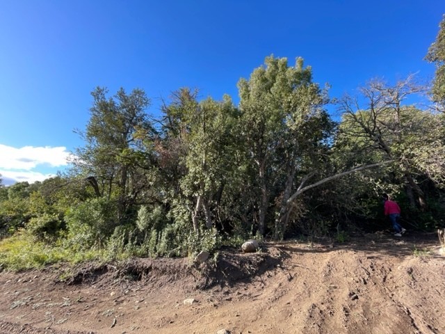 T137 Lote de 2000 m2 -  La Reserva Alta 