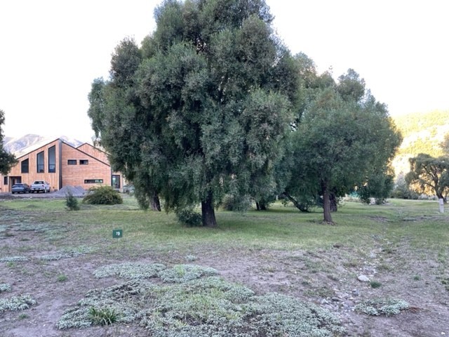 T158- Muy lindo lote plano en  Peñon de Lolog- 