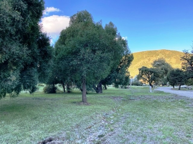 T158- Muy lindo lote plano en  Peñon de Lolog- 