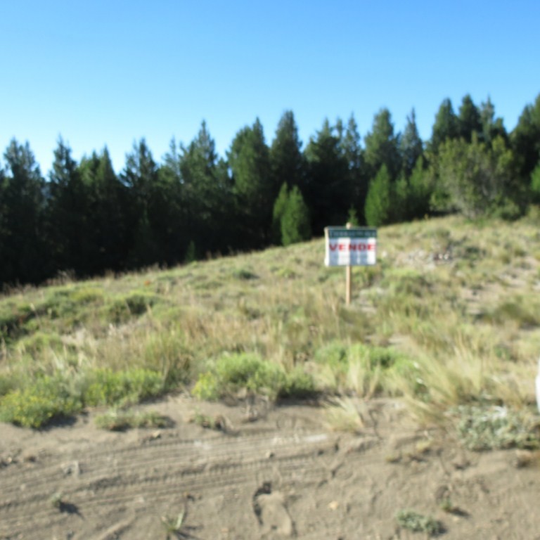 LM015 - Mza H2 Lote en lago Meliquina de 1000 m2 
