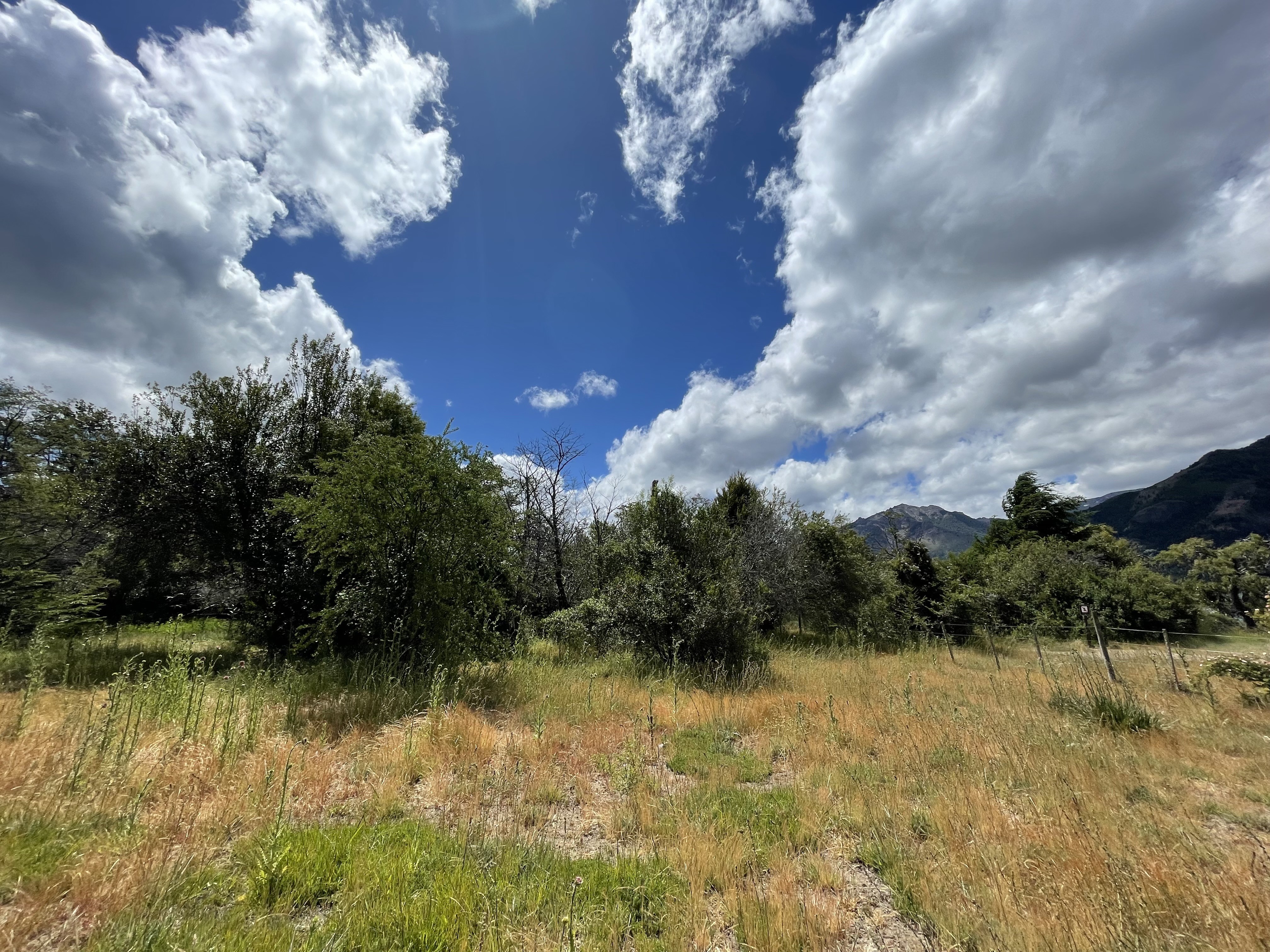 LM26 Lote de 1700 m2 frente al Lago Meliquina - Peninsula