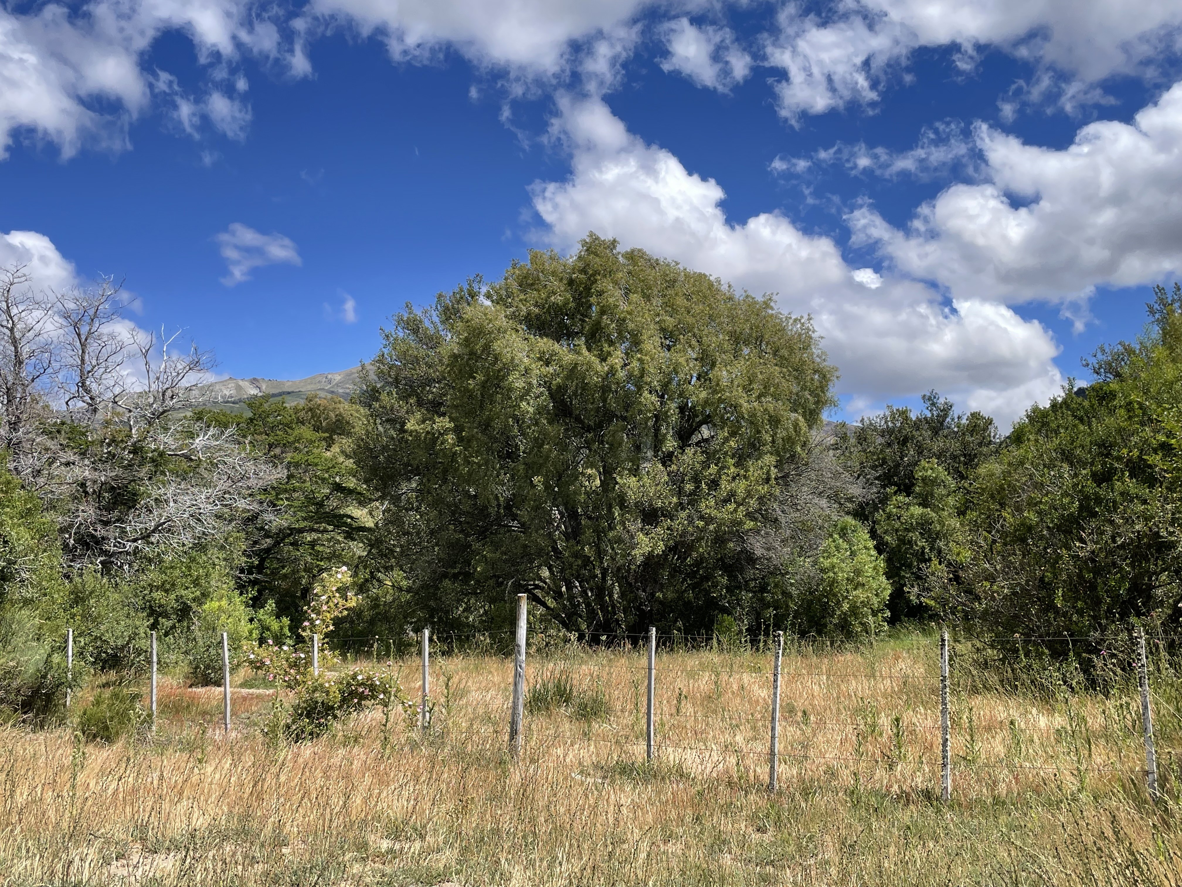 LM26 Lote de 1700 m2 frente al Lago Meliquina - Peninsula