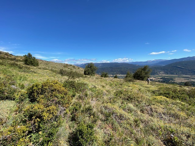 T179 - Excelente Lote de 3200 m2 en Miralejos