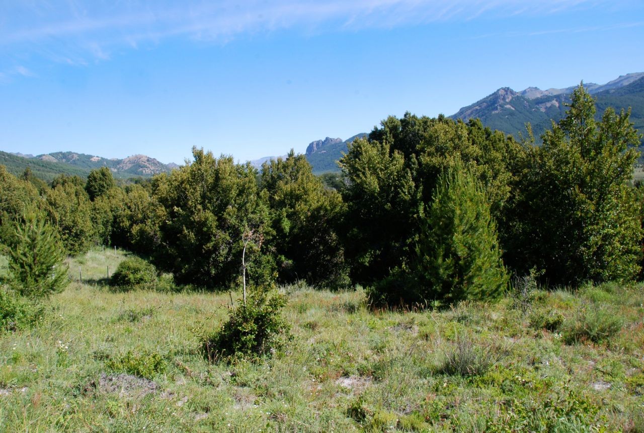 LM041- Mza E1 y Mza X Lotes en Lago Meliquina, con vistas al lago, EXCELENTE!!!