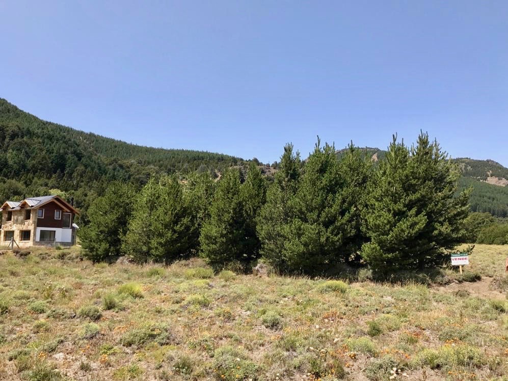 LM101 - 2 Lotes contiguos en Meliquina 2000m2 - Mza IV