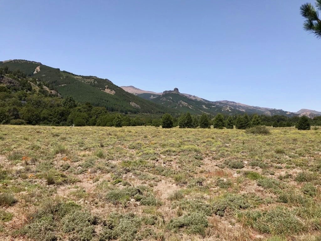 LM101 - 2 Lotes contiguos en Meliquina 2000m2 - Mza IV