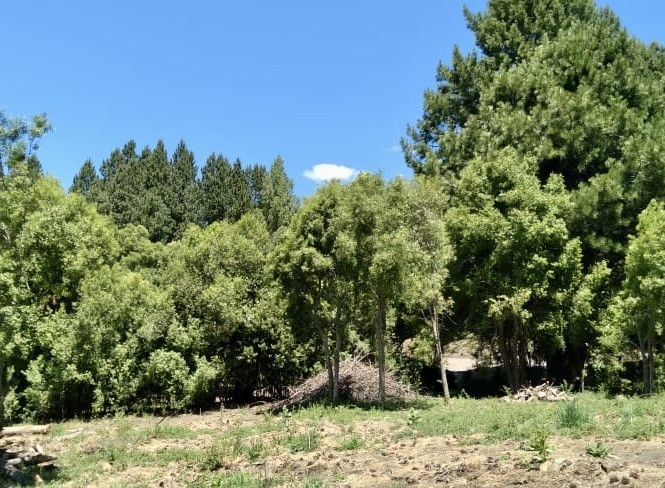 T202 - Excelente lote de 1860 m2 en La Jauria 