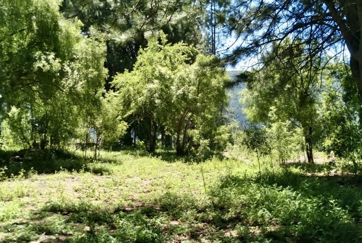 T202 - Excelente lote de 1860 m2 en La Jauria 