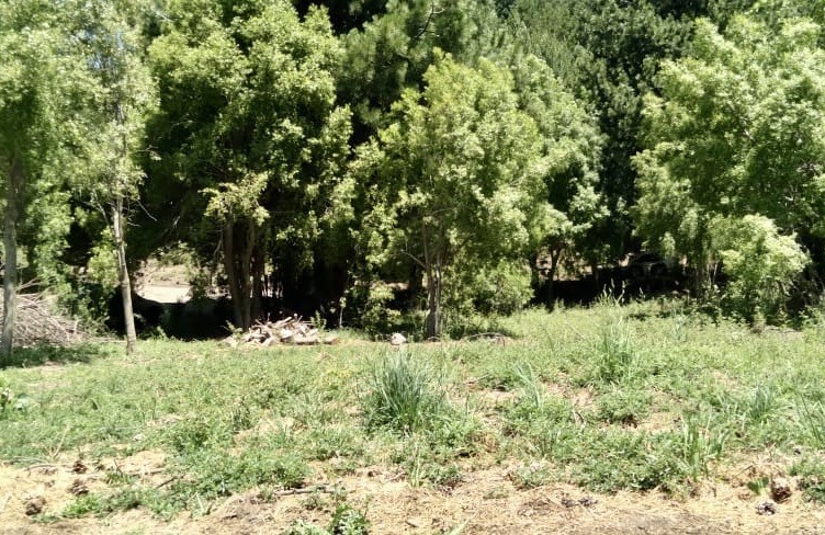 T202 - Excelente lote de 1860 m2 en La Jauria 