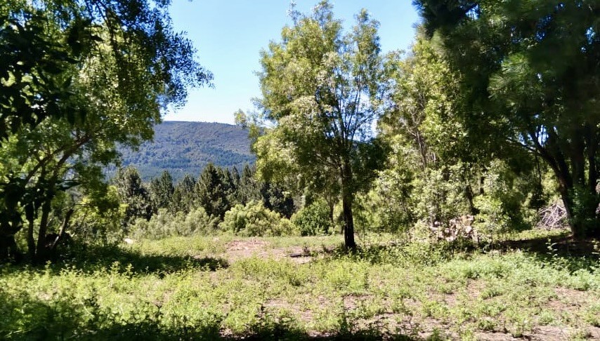 T202 - Excelente lote de 1860 m2 en La Jauria 